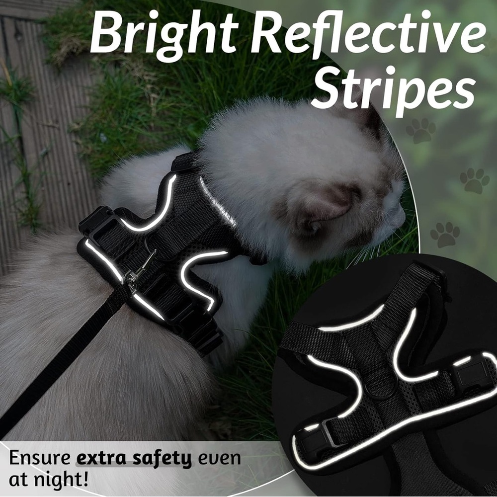 Cat harness - Picture 5 of 6